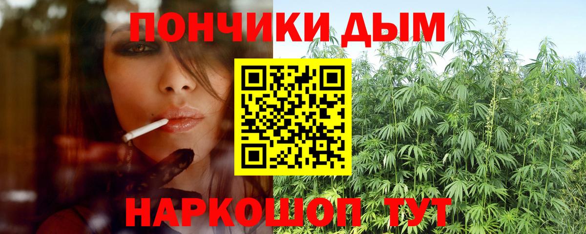 Бошки Шишки конопля Гусев